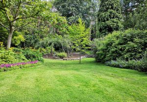 Optimiser l'expérience du jardin à Lagny-sur-Marne