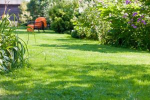 travaux jardin et paysage Lagny-sur-Marne